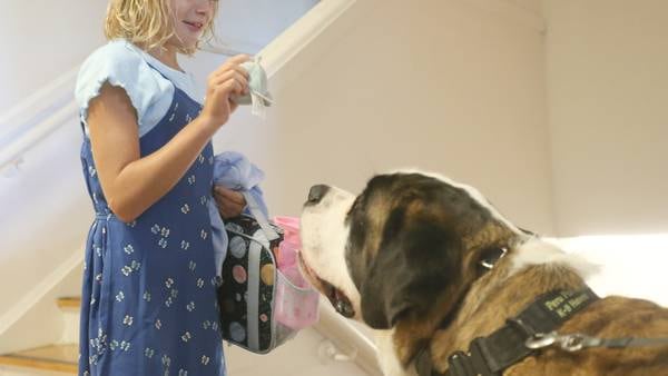 Photos: Therapy dog brings comfort to Peru school 