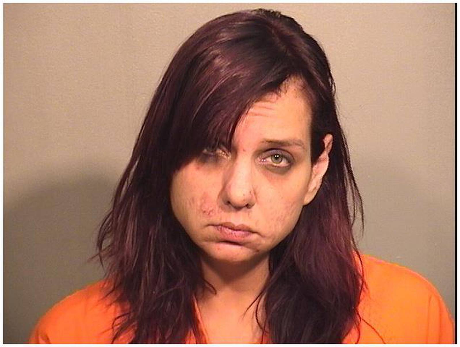 Police Mundelein woman faces drug, theft charges after meth arrest in