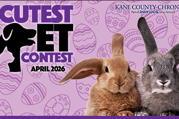 Kane April Cutest Pet Contest