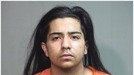 Teenagers arrested in Lake in the Hills accused of having defaced handguns, large-capacity magazines