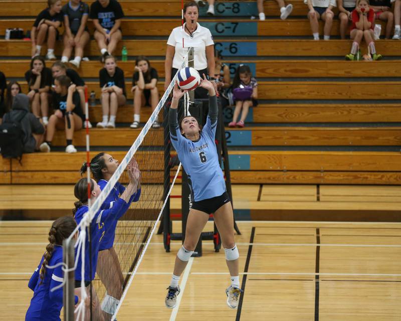 Photos Lyons vs. Willowbrook volleyball Shaw Local