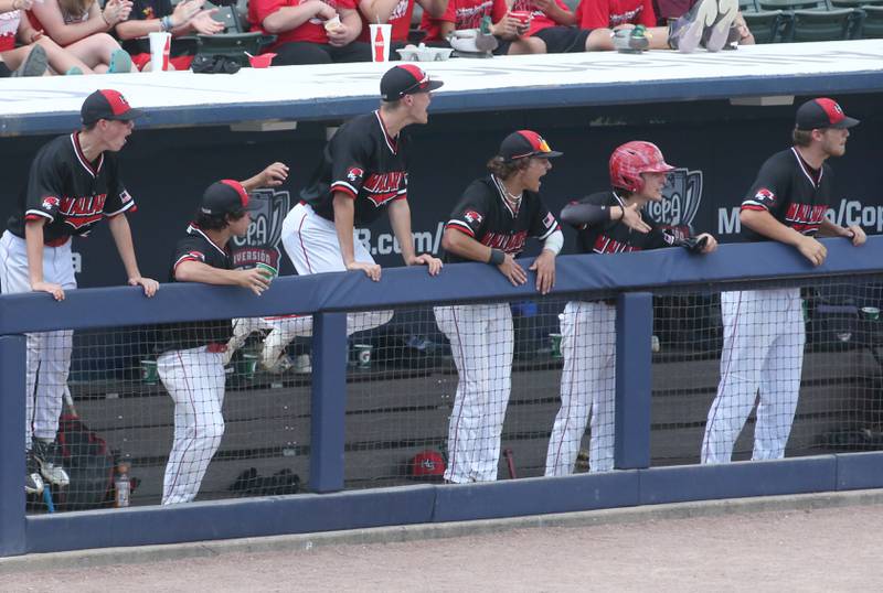 Henry-Senachwine players react after teammate Colton Williams gets a hit against Newman during the Class 1A State semifinal game on Friday, June 2, 2023 at Dozer Park in Peoria.