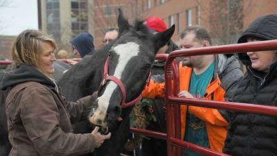 ‘Horses can really teach a lot’: Benedictine to launch animal-assisted therapy course