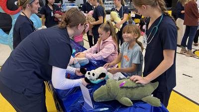 GAVC students run checkups on stuffed animals for Nettle Creek Elementary students