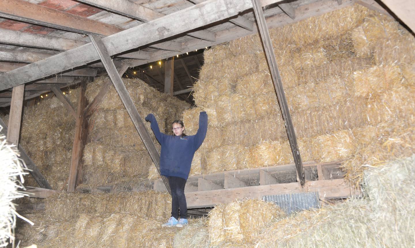 Cora Dietrich, 11, was the official tour guide of the hay baze in her family's barn at the Dietrich Ranch, north of Mt. Morris, during the Ogle County Farm Stroll on Sunday, Oct. 15, 2023.