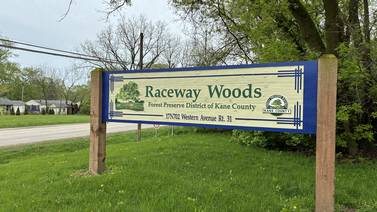 Gender, approximate age of skeletal remains determined after bones found in Kane County preserve