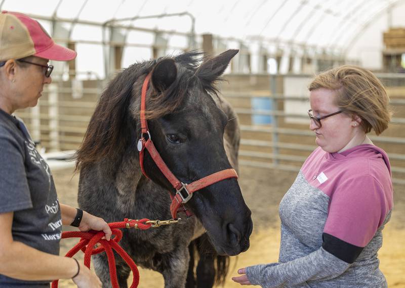 Hannah reaches out to greet a horse Tuesday, May 6, 2025, at Pegasus Special Riders in Oregon. Transition students were taught to let the horse sniff you before interacting with it.