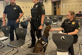 Sycamore police therapy dog Dooley helped schools more than 500 times this year