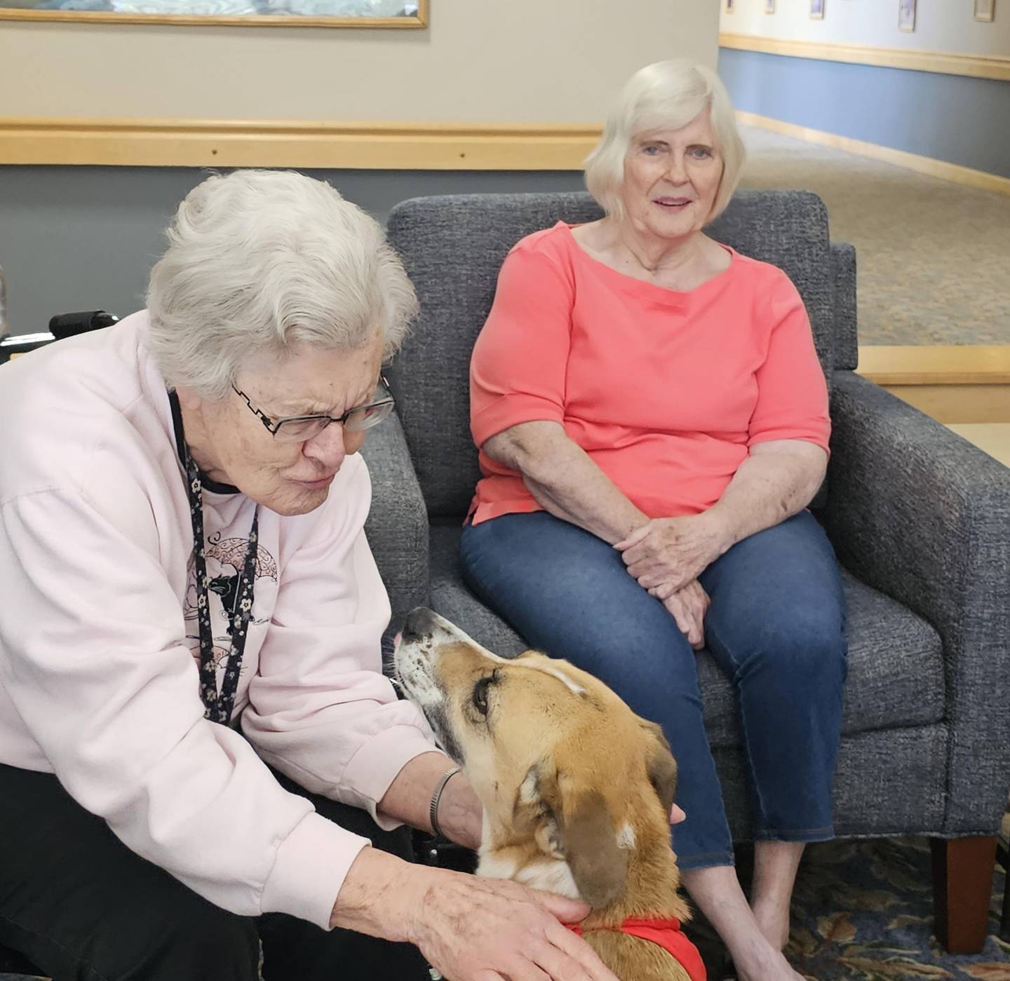 Maya, a therapy dog from Plainfield, visits with Timbers of Shorewood resident Evelyn Null, as Dolores “Dee” Robbins looks on.