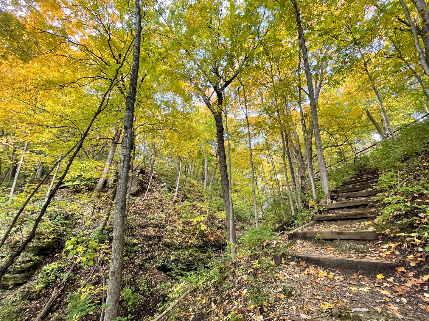 Kishwaukee Gorge North Forest Preserve in the south side of Rockford is one of 44 preserves maintained by the Forest Preserves of Winnebago County. According to its website, the park has diverse woodlands, prairie openings and rugged ravines, with a restored prairie, large oak tree forest and steep-sided gorges along the Kishwaukee River.