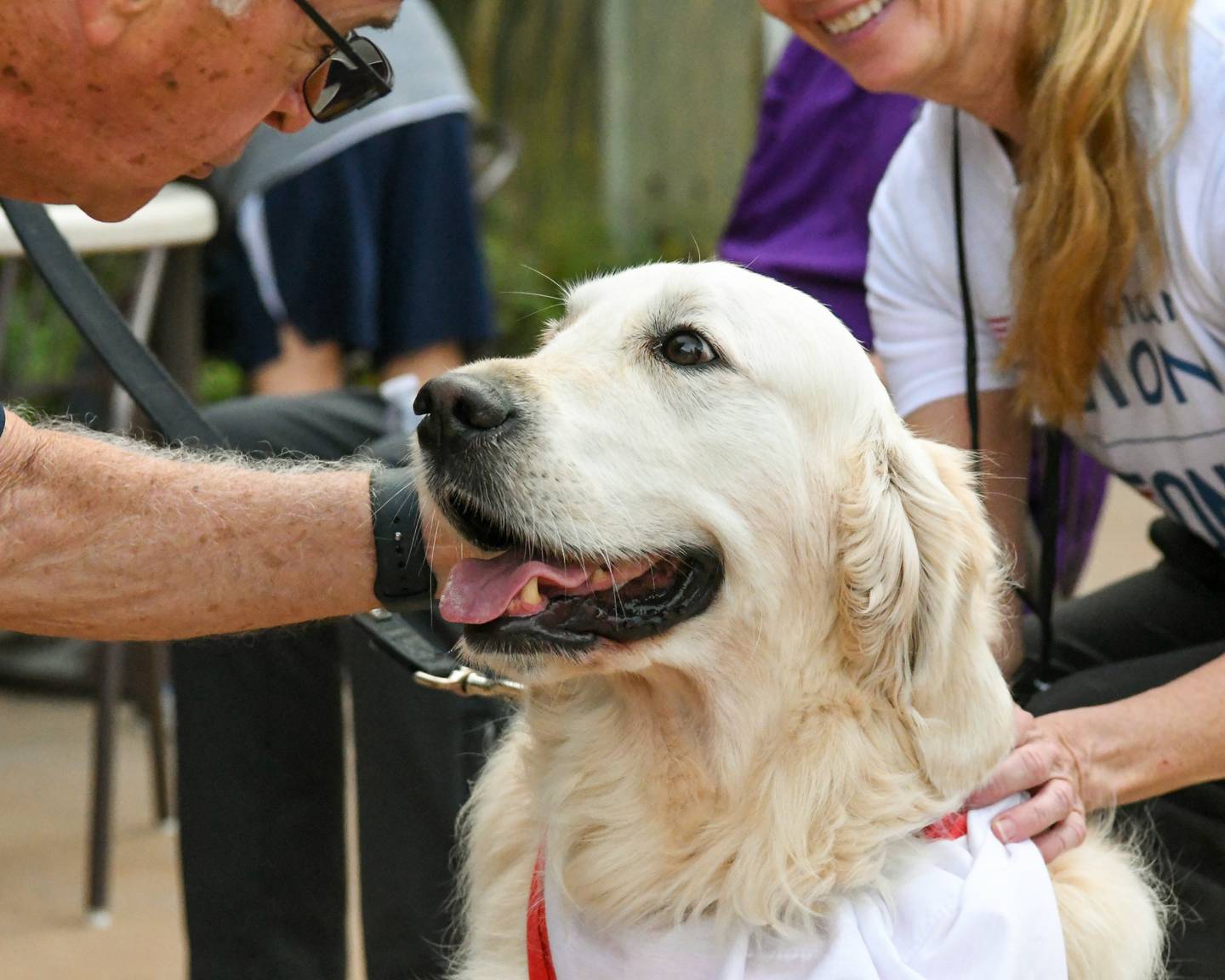 Joey the Golden Retriever from nonprofit Canines 4 Christ gets attention from Jim Hupke and Sharon Smith on Sunday, Sept. 21, 2025, before the start of the second annual Be the One Walk to end veteran suicide held at the Northwestern Medicine Kishwaukee Health & Wellness Center in DeKalb.