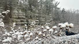 Photos: A glimpse of winter in the Illinois Valley