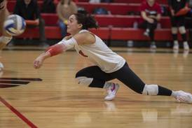 Sauk Valley Views: Photos of the Week Nov. 7-13, 2025