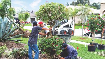 How to pick the right trees for your property