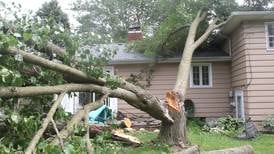 ‘Whole area under threat for tornadoes’: Tornado watch issued for northern Illinois until 10 p.m.