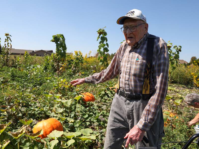 Retired farmer’s pumpkins bolster senior garden club