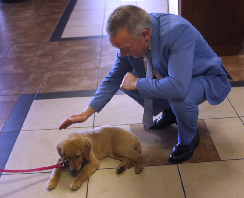 McHenry County Public Defender Mark Cook pets Honey as Dan Wallis, the McHenry County Trial Court Administrator, walks the new support and comfort golden retriever around the McHenry County Courthouse on Wednesday, September 11, 2024, in Woodstock. Currently, the puppy is in the socializing stage of her training.
