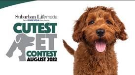 Vote in the August 2022 Suburban Life Cutest Pet Contest