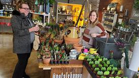 Petals by Peyton voted Best Florist in Best of the Illinois Valley 