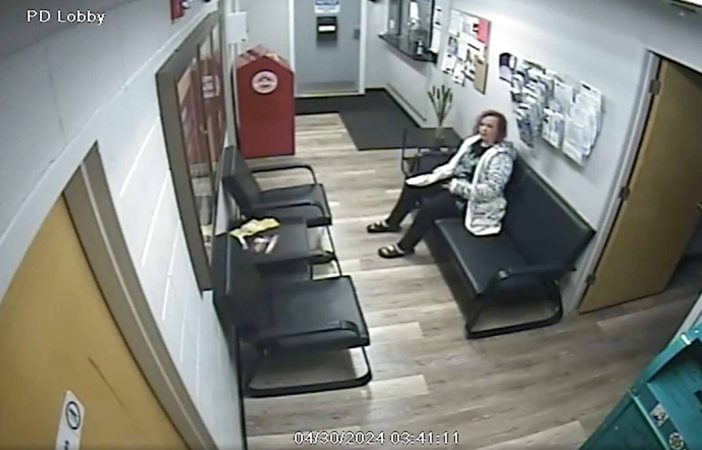 Island Lake police are seeking the public’s help to identify a woman who damaged the lobby at the station early Tuesday.