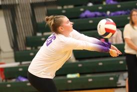 Rochelle volleyball beats Sycamore, loses to Kaneland: Rochelle News Leader high school sports roundup