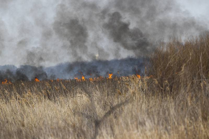Green River State Wildlife Area south of Harmon is a wildlife restoration zone that stretches for over 2500 acres.