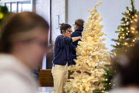 Festival of Trees begins Nov. 9 in Rock Falls