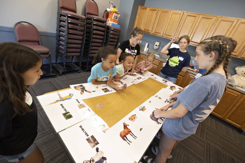 Kids gather around a table Monday, July 28, 2025, matching up food and shelter pictures with their animal counterparts.