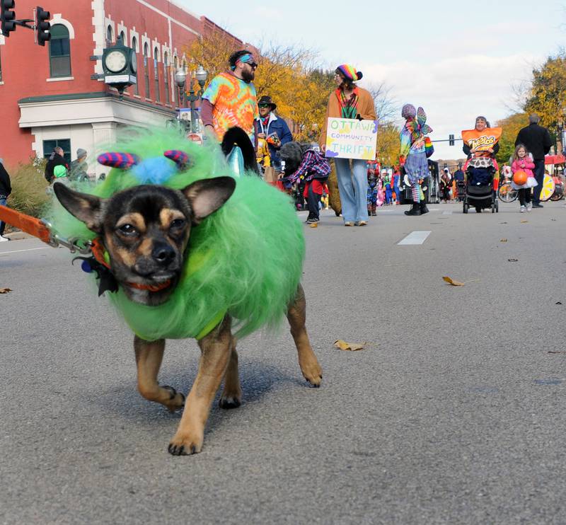 Humans were not the only ones to costume up during the Halloween Parade down La Salle St in Ottawa Saturday.