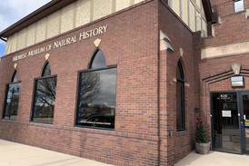 Developer eyes banquet hall for former Midwest Museum of Natural History in Sycamore