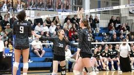 Girls volleyball: Shay McMillen, St. Francis power past Sycamore in sectional semifinal