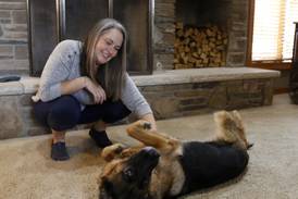 Ethical dog breeding? Crystal Lake nonprofit aims to make breeders more accountable, conscientious