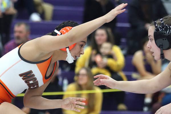 2025-26 Northwest Herald girls wrestling preview capsules