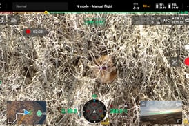 Dog missing for over 2 weeks in Glacial Park located by volunteers, drones