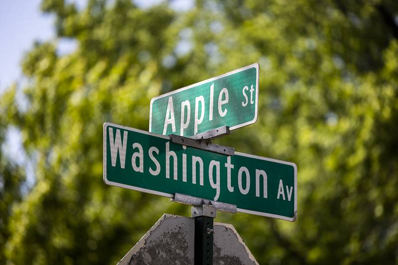 The city of Dixon will be performing road work on several streets at the conclusion of Petunia Fest. Washington Avenue from 927 Washington Ave. to the dead end is on the list.