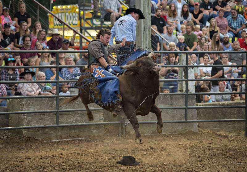 Alex Davies of Polo hangs on to the leaping Red Dog during his exciting ride in front of local fans Thursday night at the Rice Bull Riding Rodeo at the Carroll County Fair. Still lots of action left at the fair this weekend with lie music, a demo derby and other fun events.