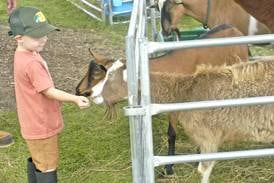 Cows, competition, food and fun: Lee County 4-H Fair concludes its 4-day run