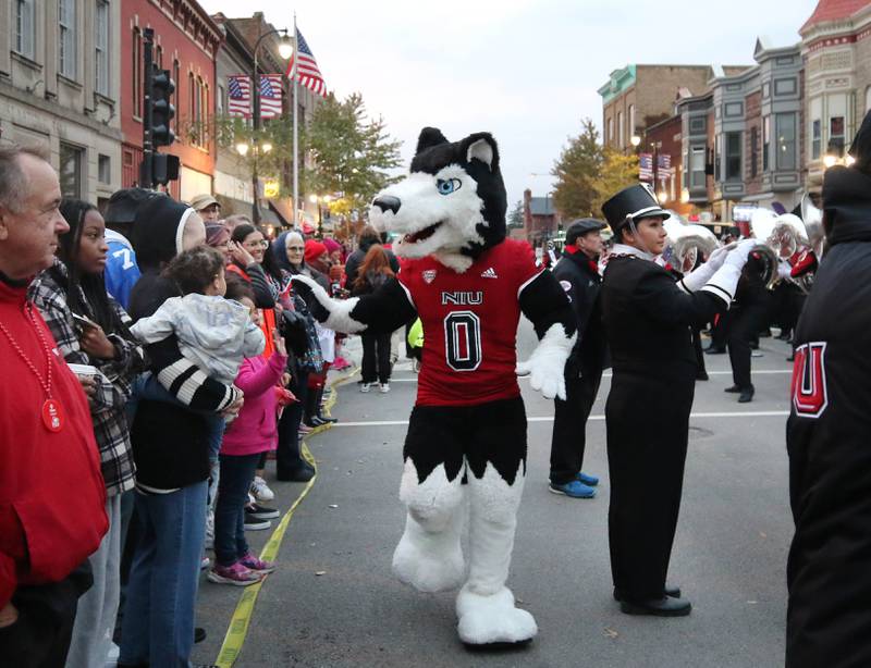 Northern Illinois University mascot Victor E. Huskie greets attendees during the NIU Huskie Homecoming Block Party Thursday, Oct. 12, 2023, in downtown DeKalb.
