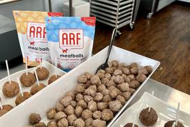 Healthy pets and the power of ‘real’ food