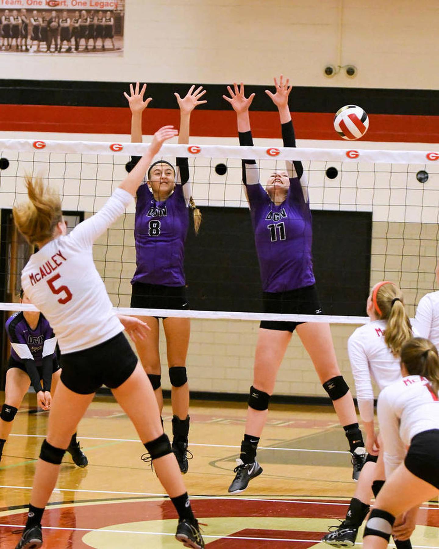 High school girls volleyball Downers Grove North, Downers Grove South