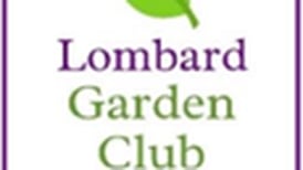 Lombard Garden Club to present iPhone photography lesson July 17