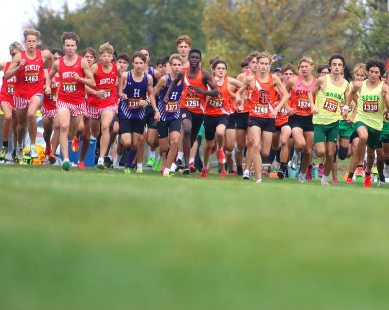 Boys runners begin the Fox Valley Conference Cross Country Meet at McHenry County College in Crystal Lake on Saturday, October. 18, 2025.