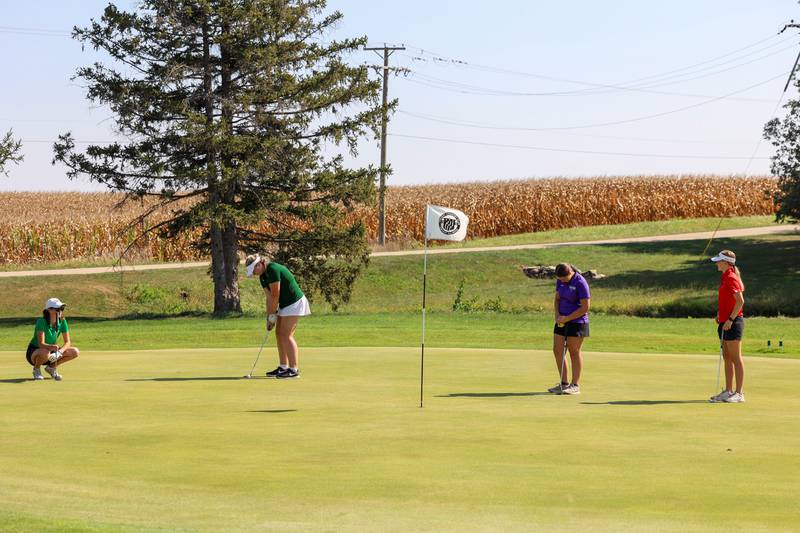 Bishop McNamara's Cassidy Novak prepares to putt as Dwight's Isabella Dinelli, left, Manteno's Genevieve Kvasnicka, right of center, and Gibson City-Melvin-Sibley's Lilyan Sizemore, right, watch during the IHSA Class 1A Dwight Regional at the Dwight Country Club on Tuesday, Sept. 30, 2025. All four golfers finished in the top six places on the day.