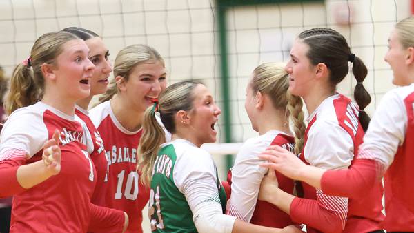 Photos: L-P sweeps Morris in Class 3A Sectional volleyball