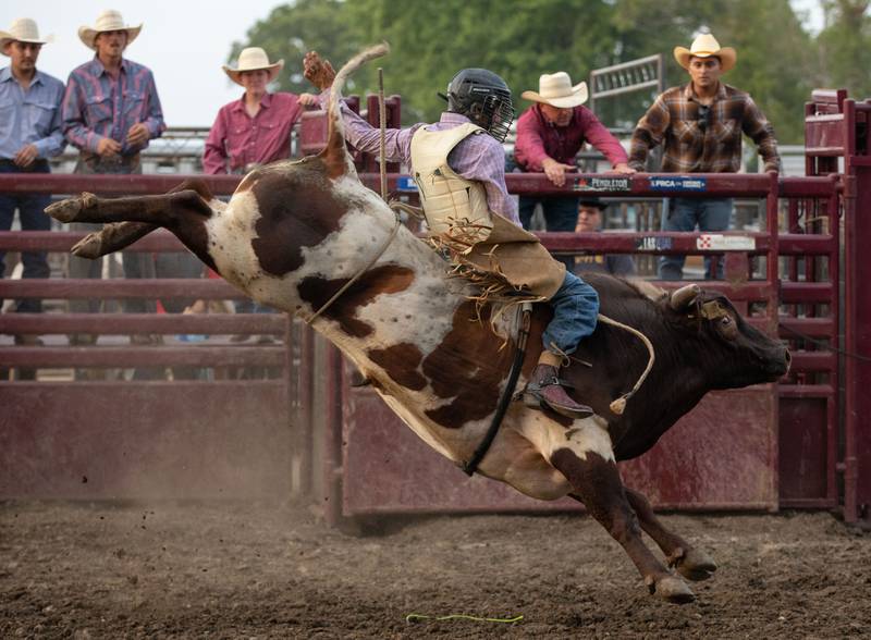 Ramon Veloz rides a bull at the Tuff Hedeman Tour during the 75th Anniversary of the McHenry County Fair in Woodstock on Friday, August 4, 2023.