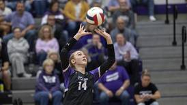 2025 Sauk Valley volleyball preview capsules