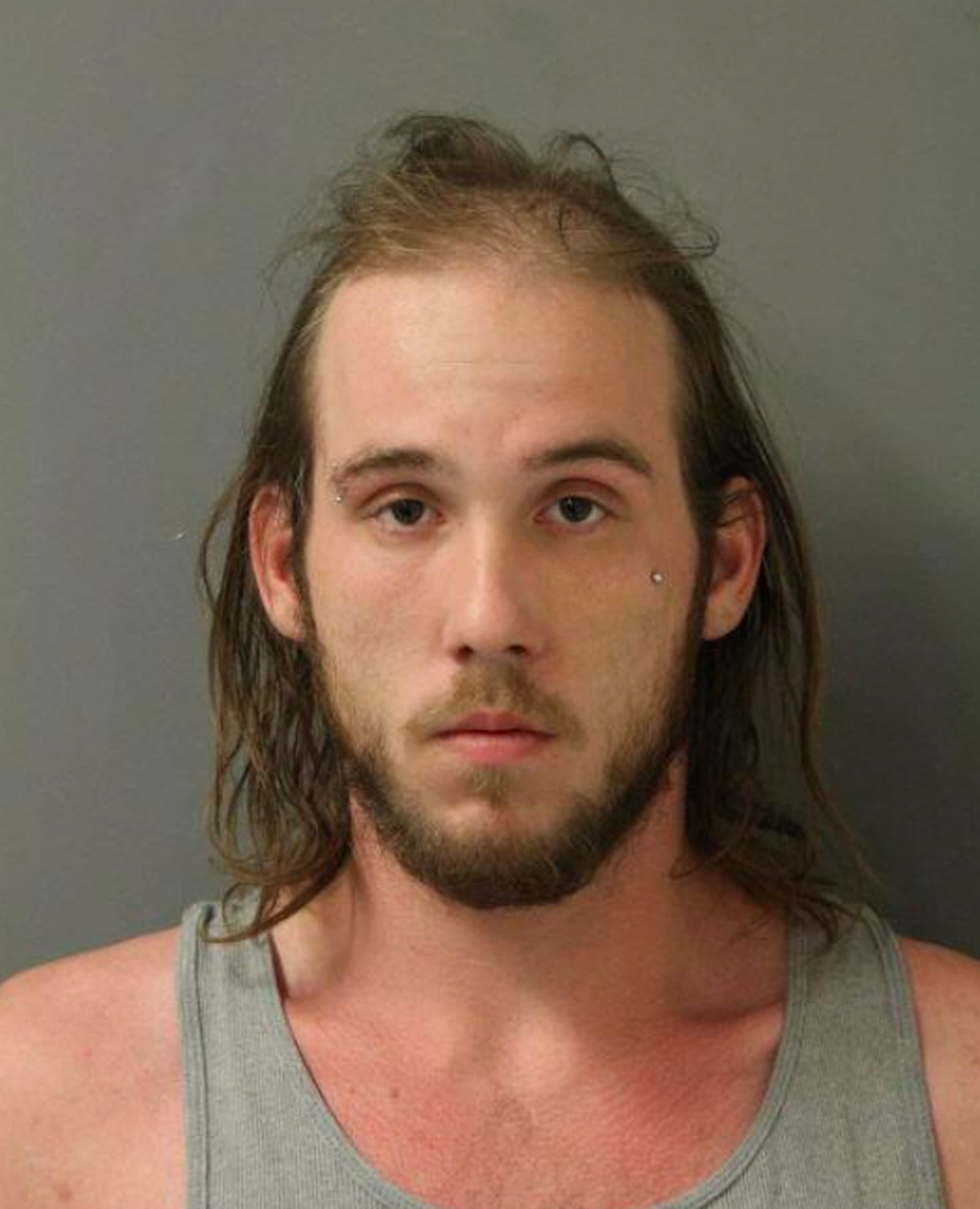 Minooka Man Accused Of Aggravated Domestic Battery Two Days Before