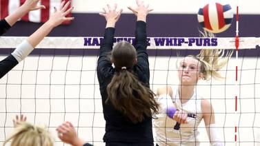 Girls volleyball: 2025 Northwest Herald All-Area Team