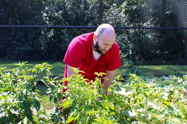 Master Gardeners bring ‘Tomato Troubles’ workshop to La Salle County Jail