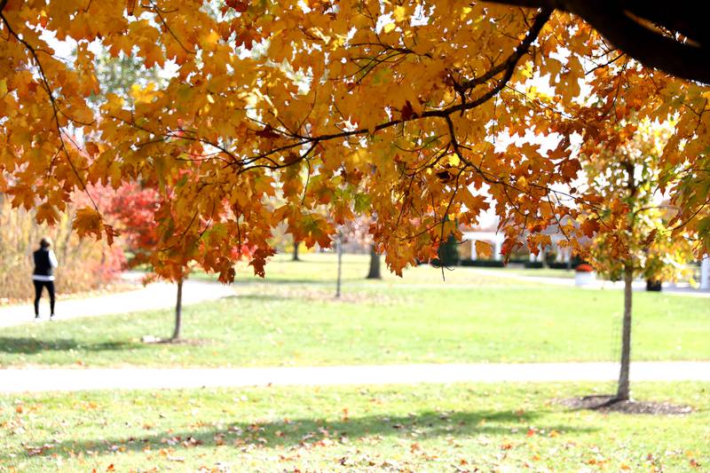 Fall colors at Mount Saint Mary Park in St. Charles.